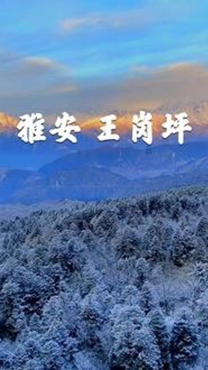 全民剧本大师内置菜单