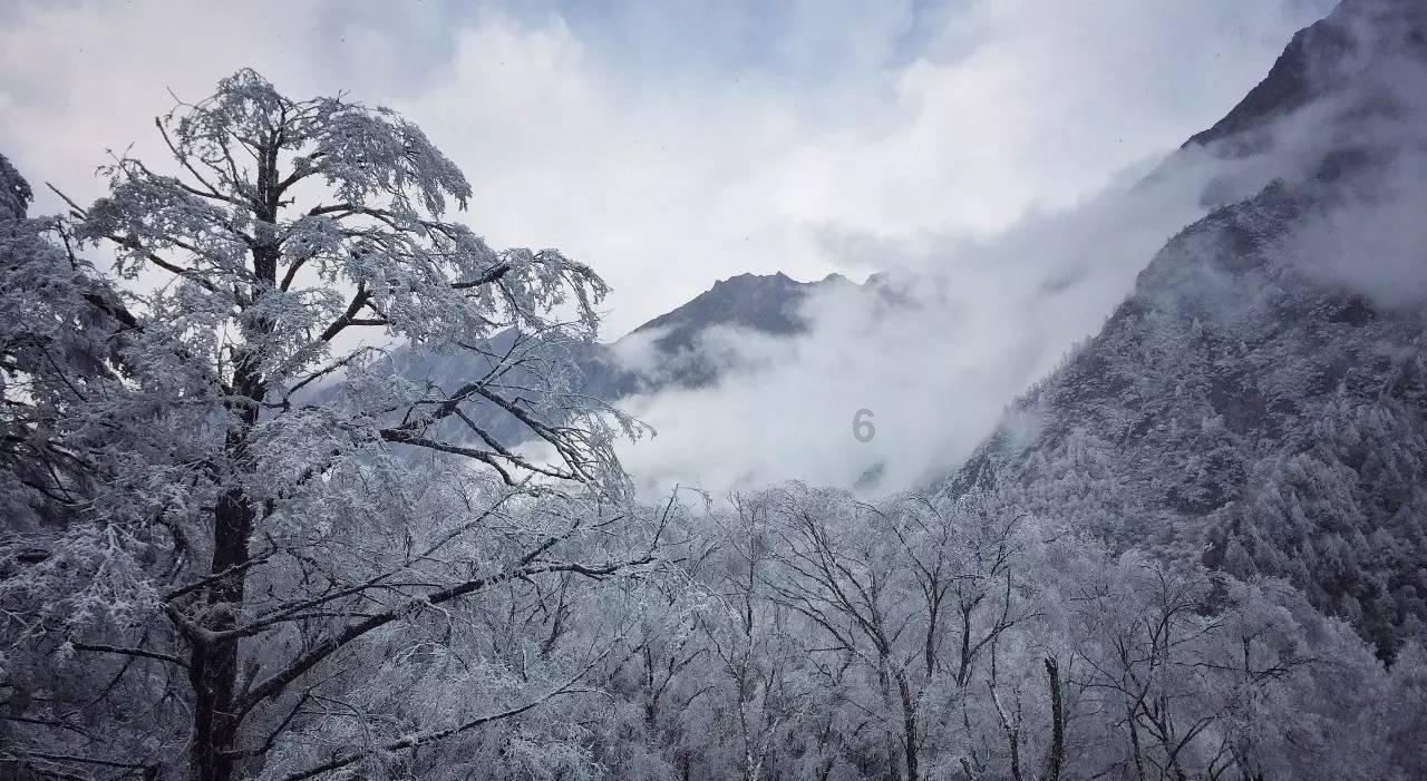 模拟地铁：今天你去送整个城市的人上班