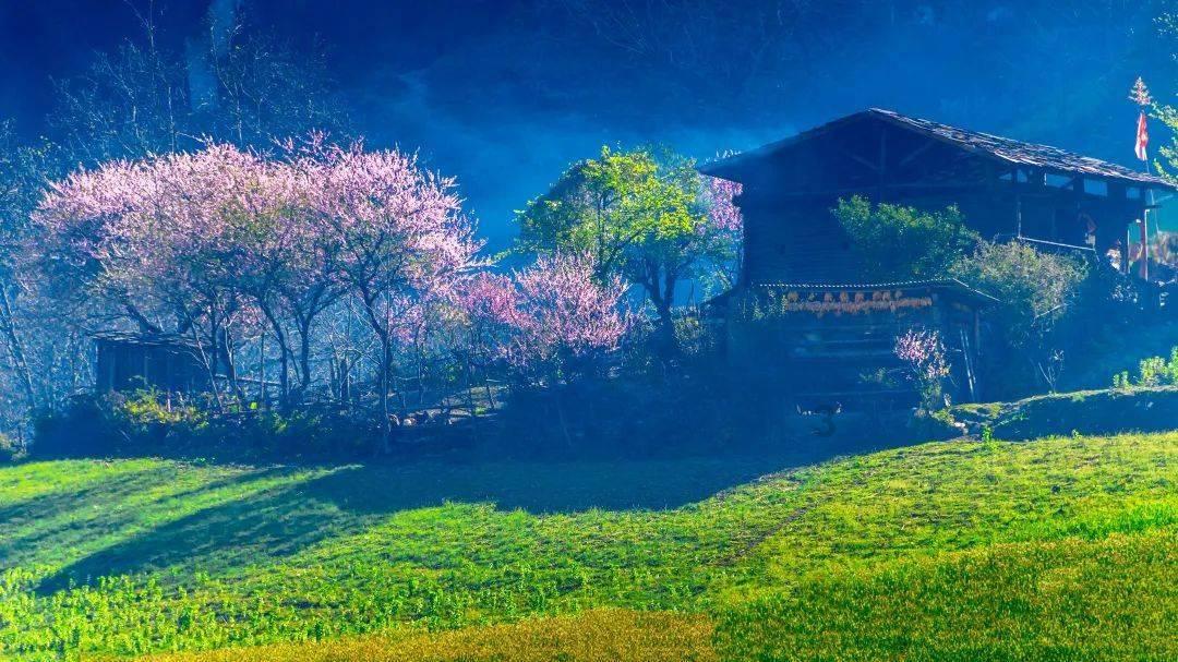 逃离巫婆房屋