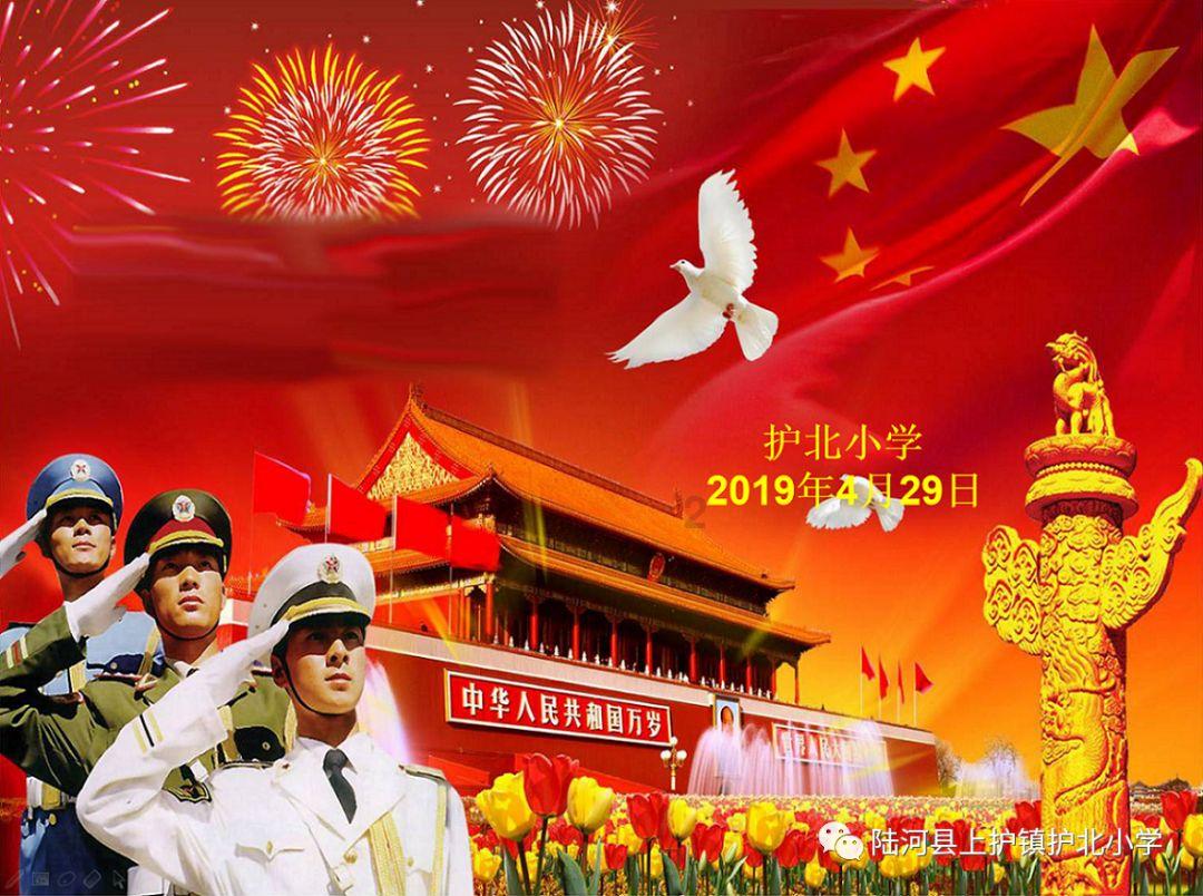 动物狂欢夜