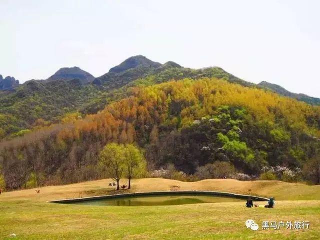 火箭传奇2