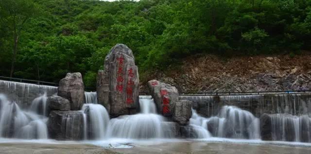 独步竹林