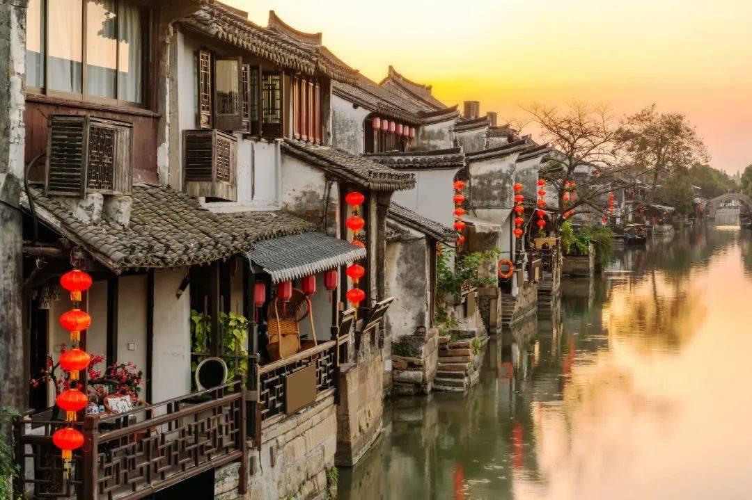 “快看,是黑脸琵鹭!”记者直击2024黑脸琵鹭全球同步普查启动